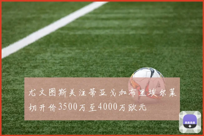 尤文图斯关注蒂亚戈加布里埃尔莱切开价3500万至4000万欧元